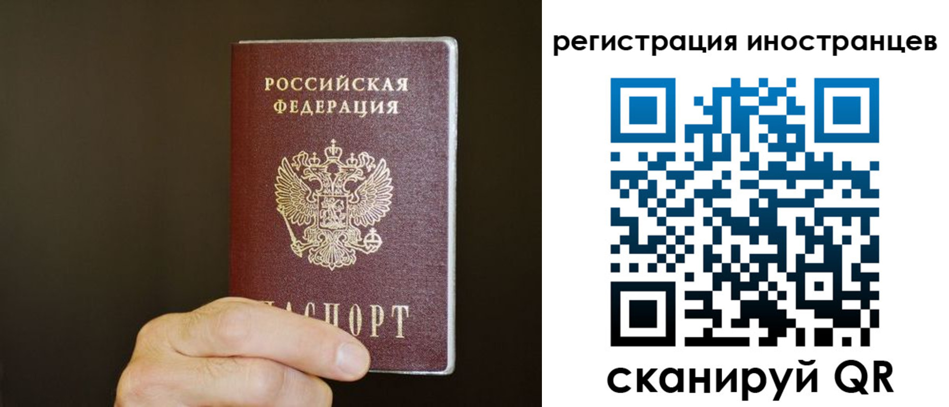 прописка в Светлограде